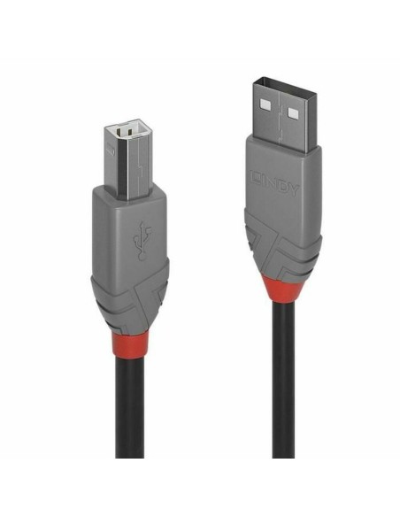 USB A till USB B Kabel LINDY 36672 Svart 1 m