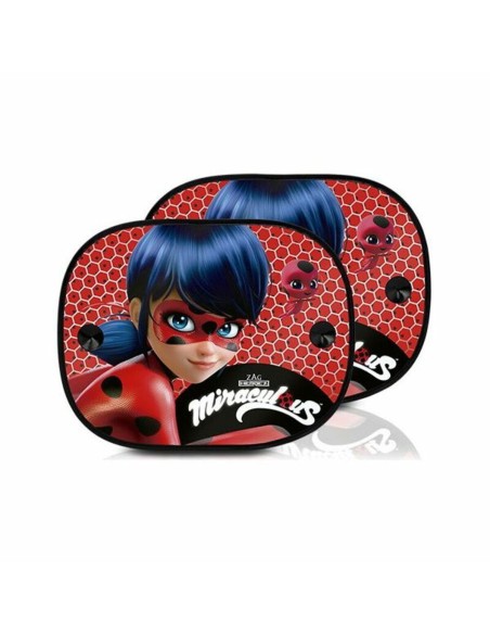 Car shade Lady Bug 1